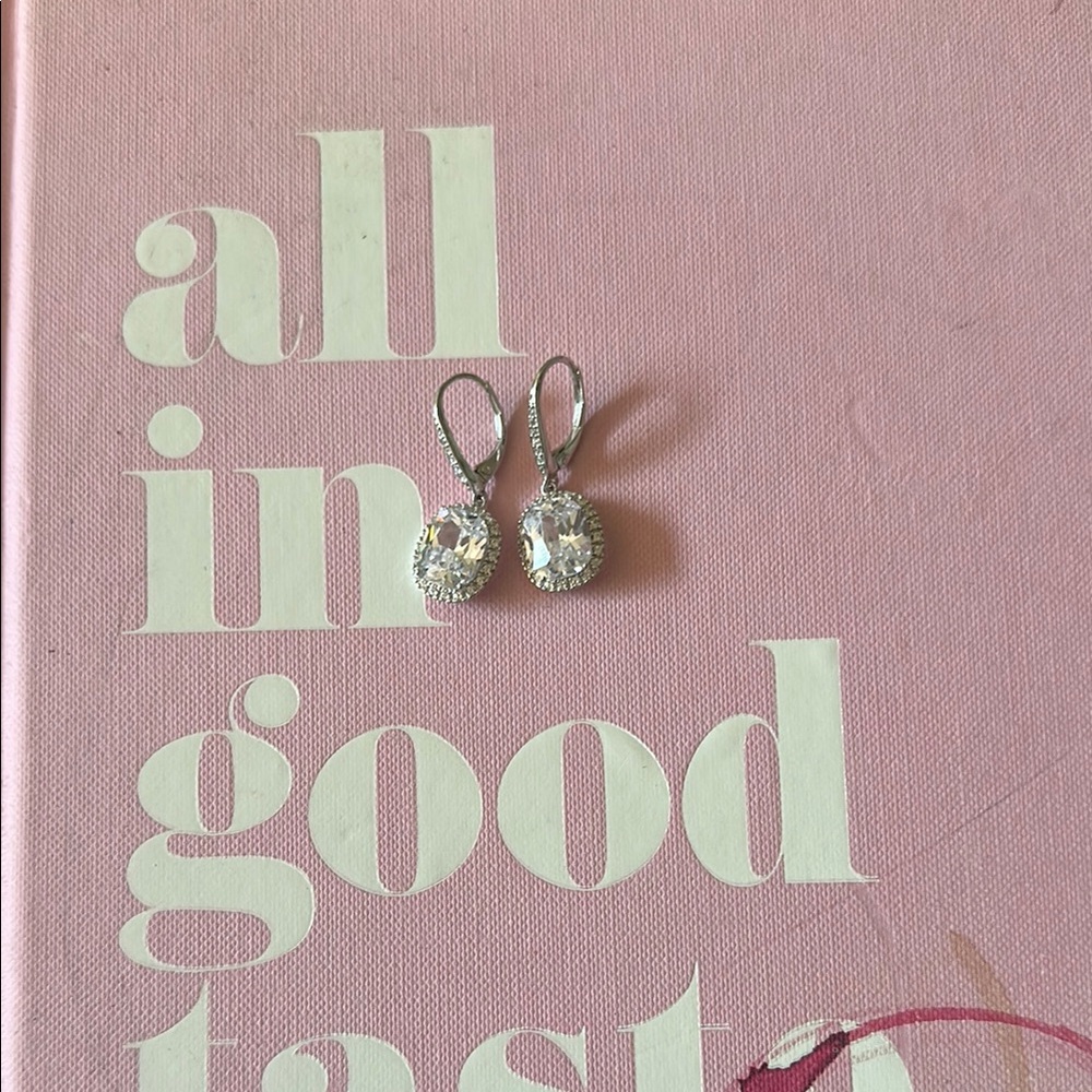 Amazon Silver Crystal Earrings